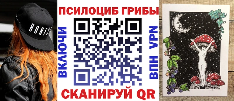 Купить  Алушта  Галлюциногенные грибы Magic Shrooms 