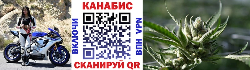 Каннабис OG Kush Алушта